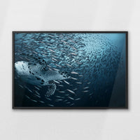LWB100W070