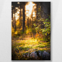 LW-030W045