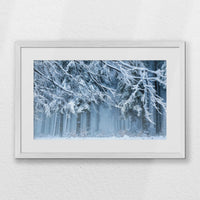 PWP060W040