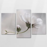 AL-090T060