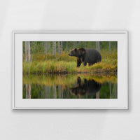 PWP093W062