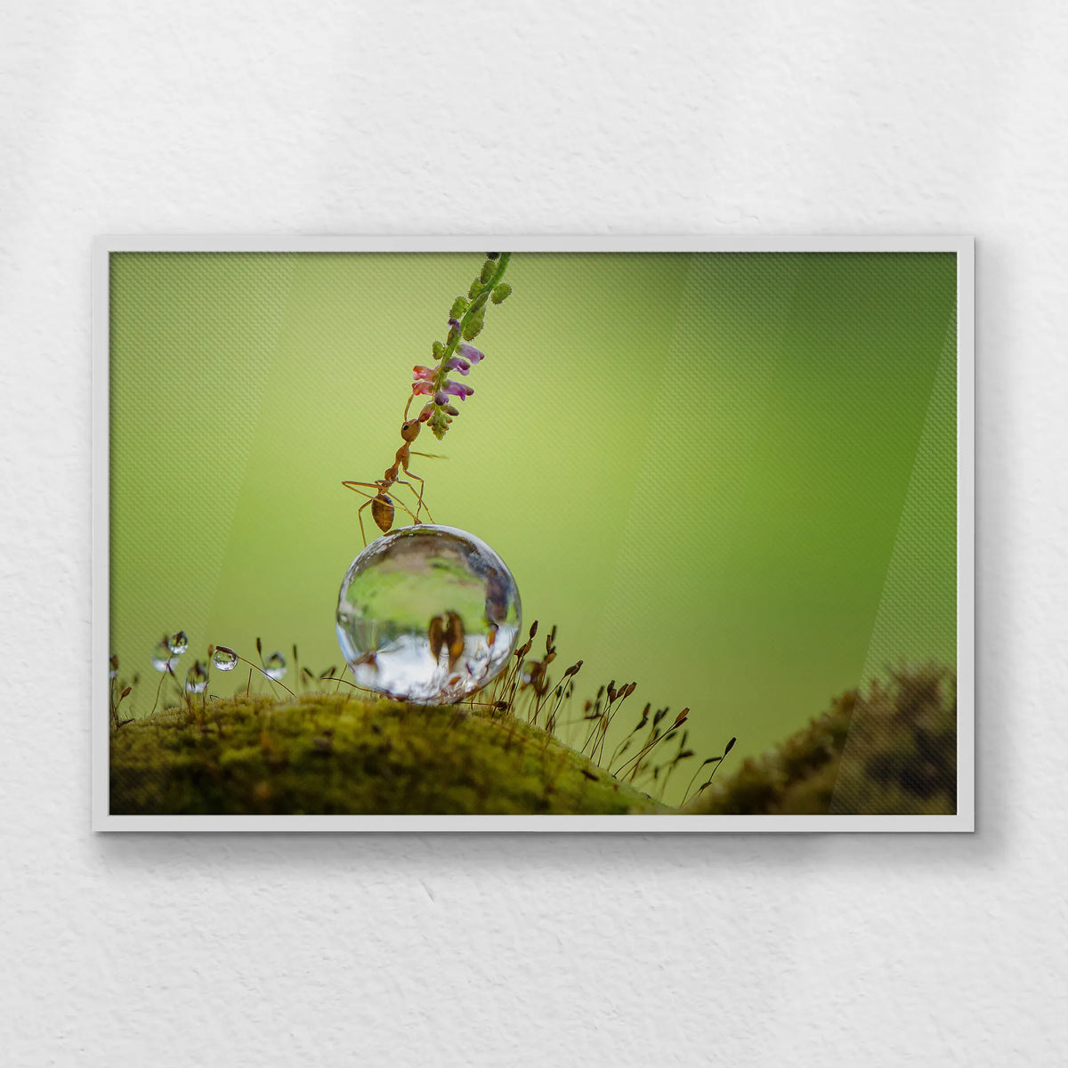 LWW100W070