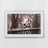 PSP100W070