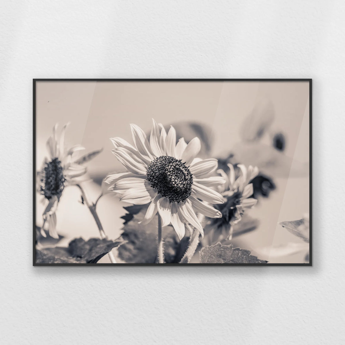PB-093W062