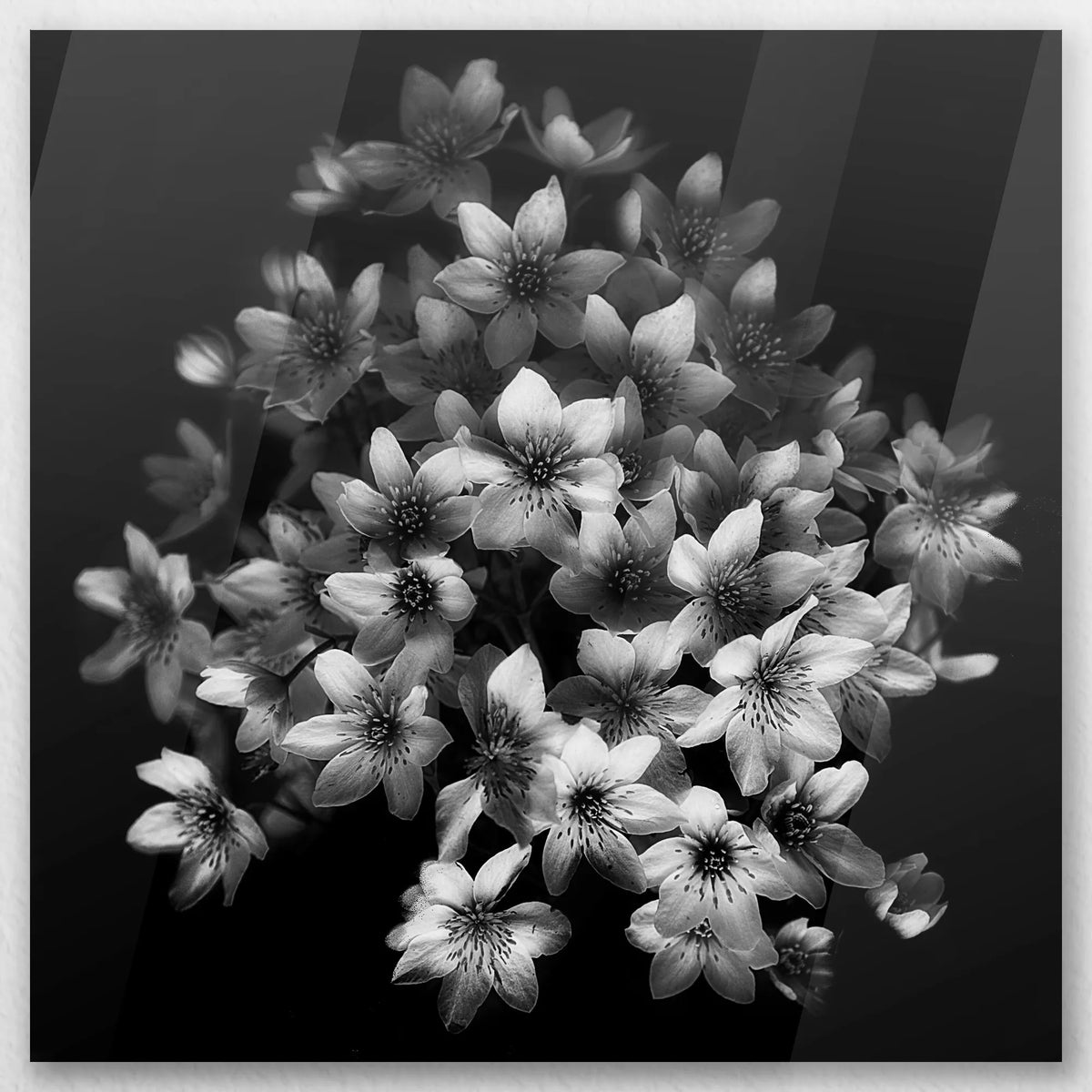 AC-040W040