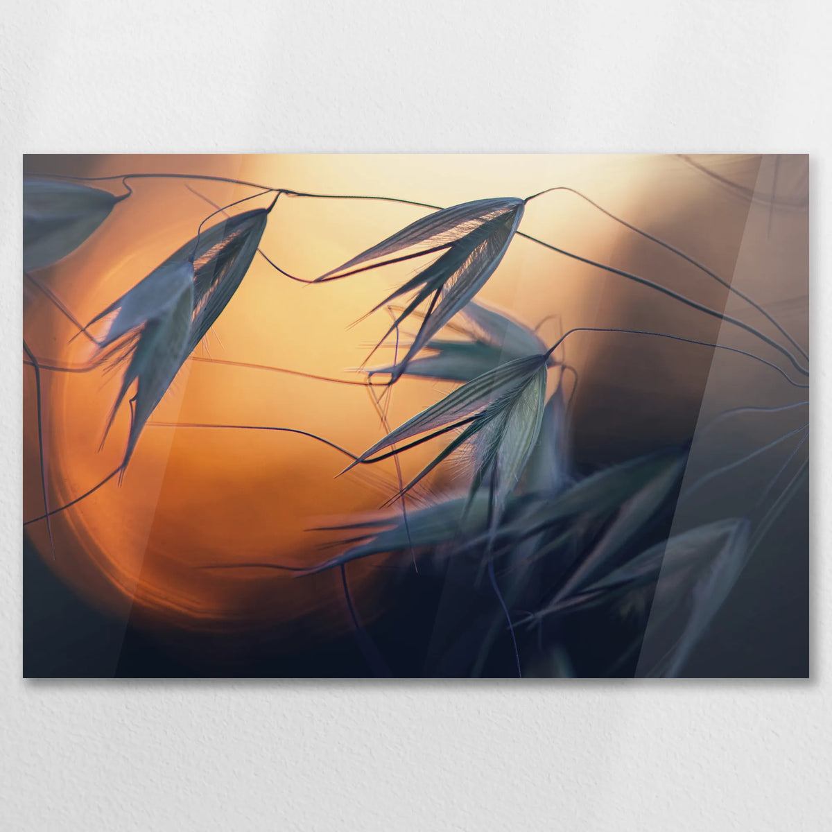 AC-075W050