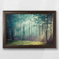 LWN030W020
