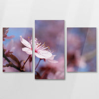 AC-090T060