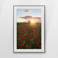 PBP080W120