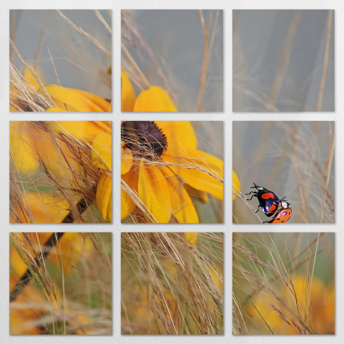 AL-270Z270