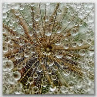 LW-080W080