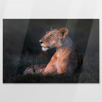 AL-120W080