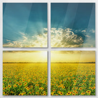AC-080V080