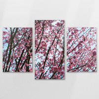 AL-120T080