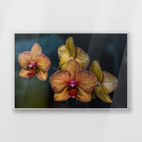 PS-093W062