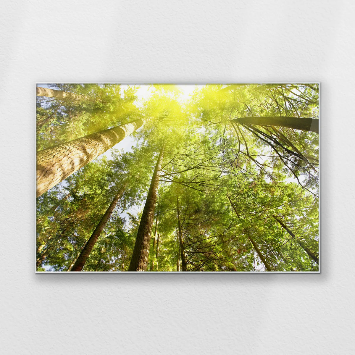 PS-120W080