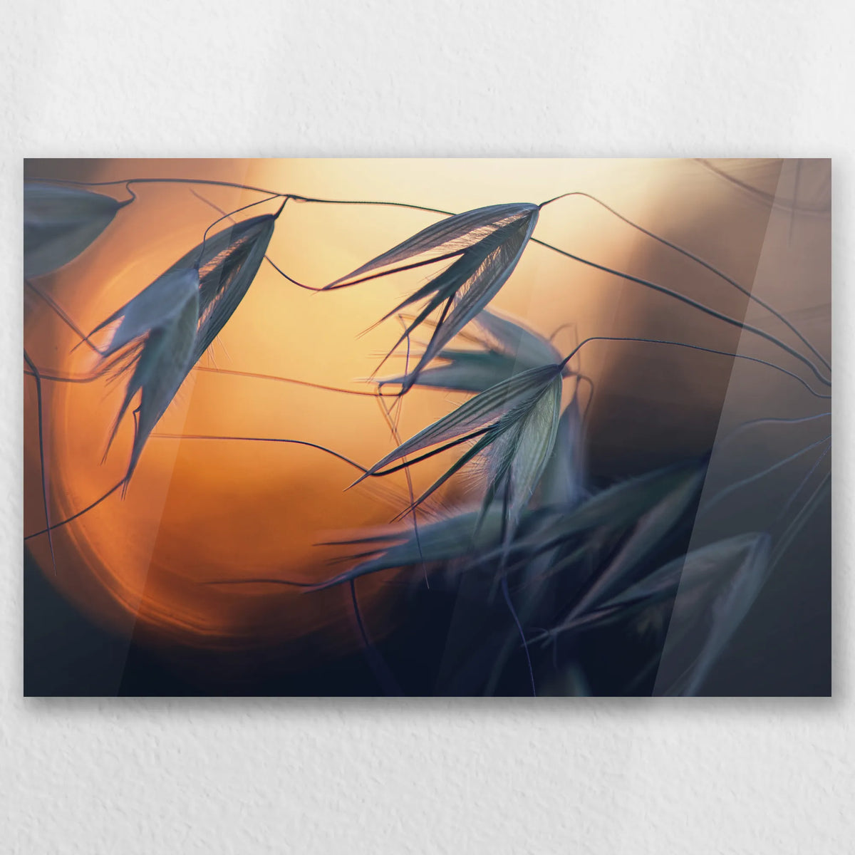AC-030W020