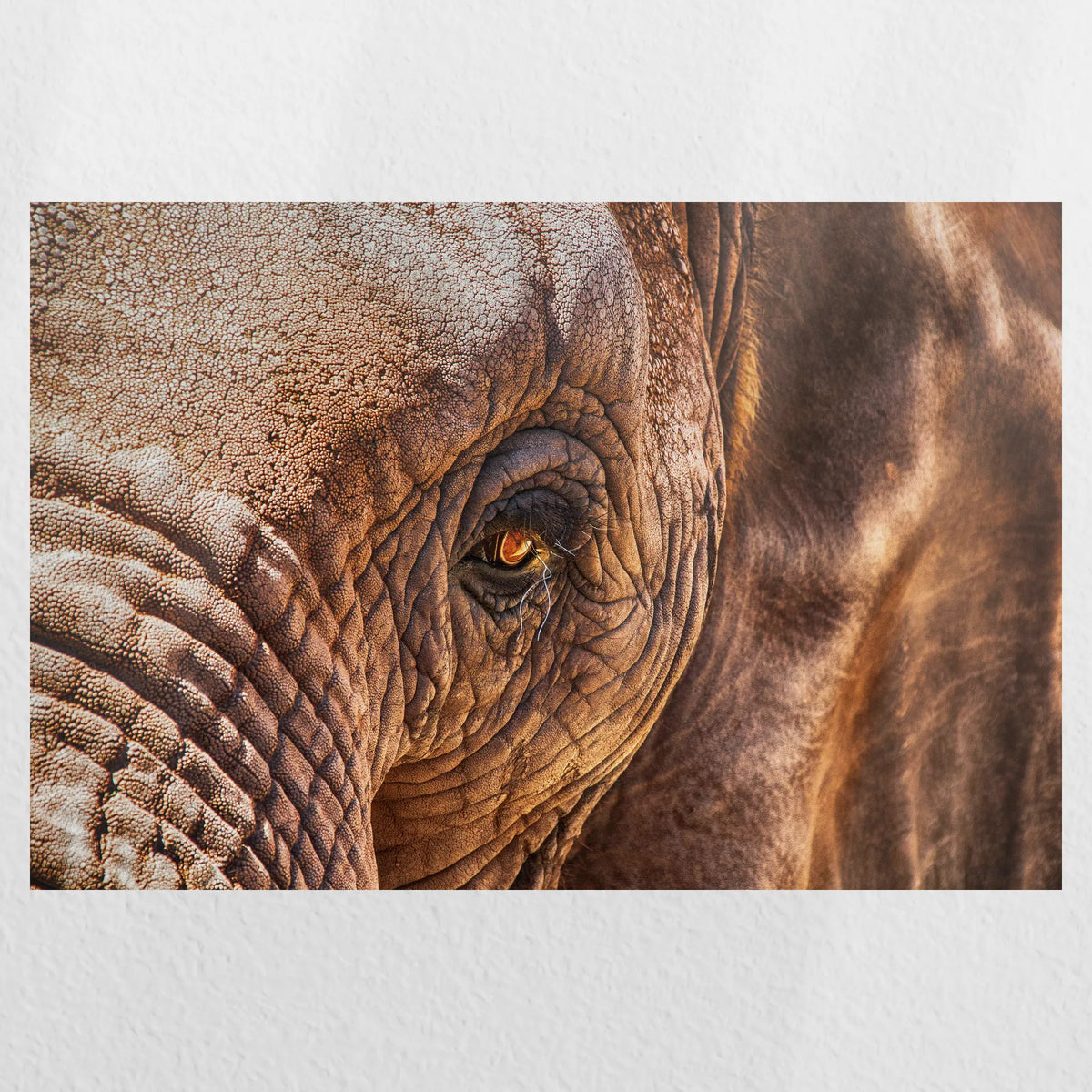 PO-030W020