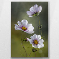 LW-050W075