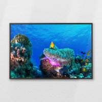 LWN120W080