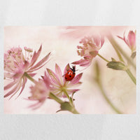 PO-045W030