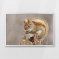 PS-060W040