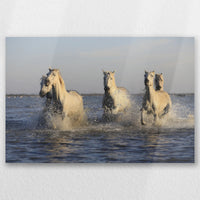 AL-045W030
