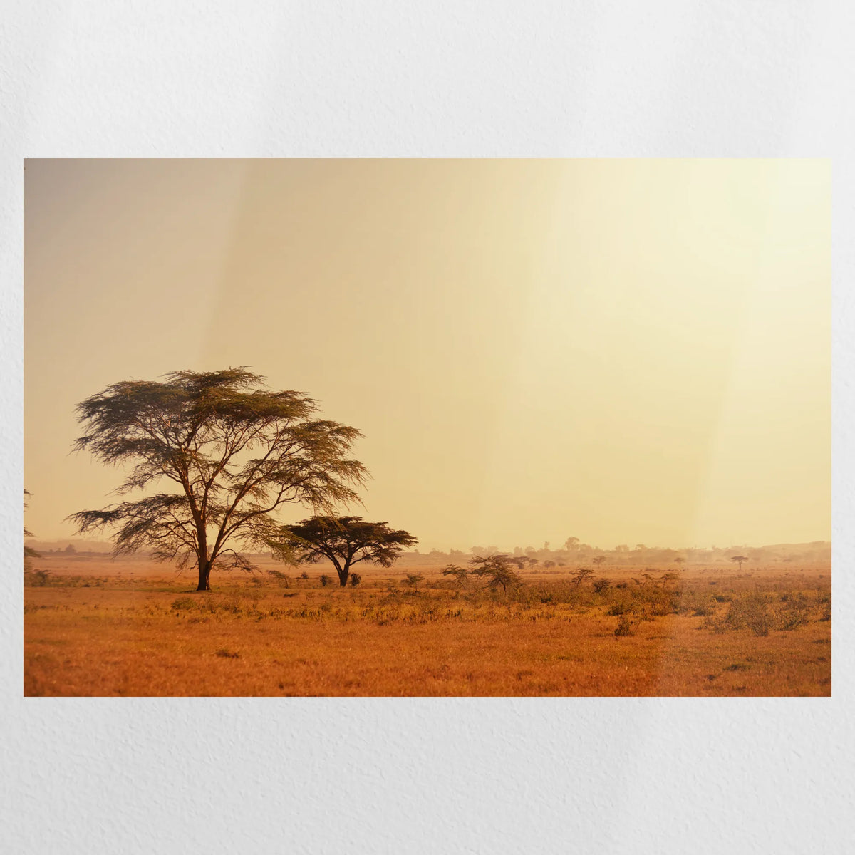 PO-120W080
