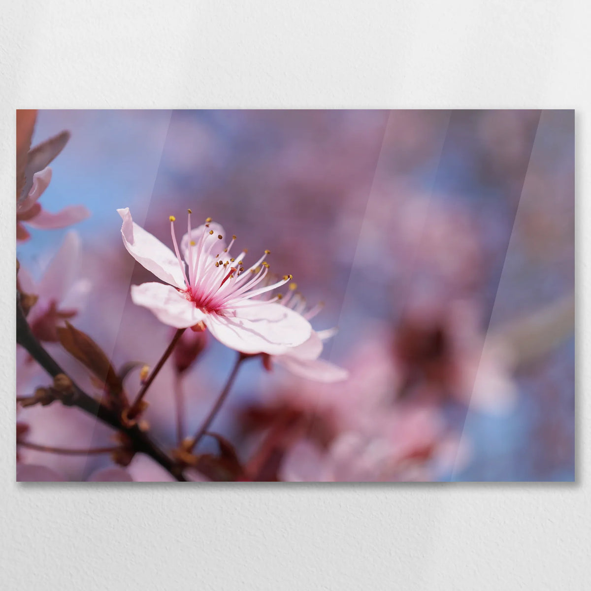 AC-075W050