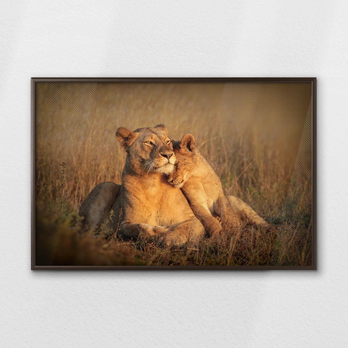 LWN100W070