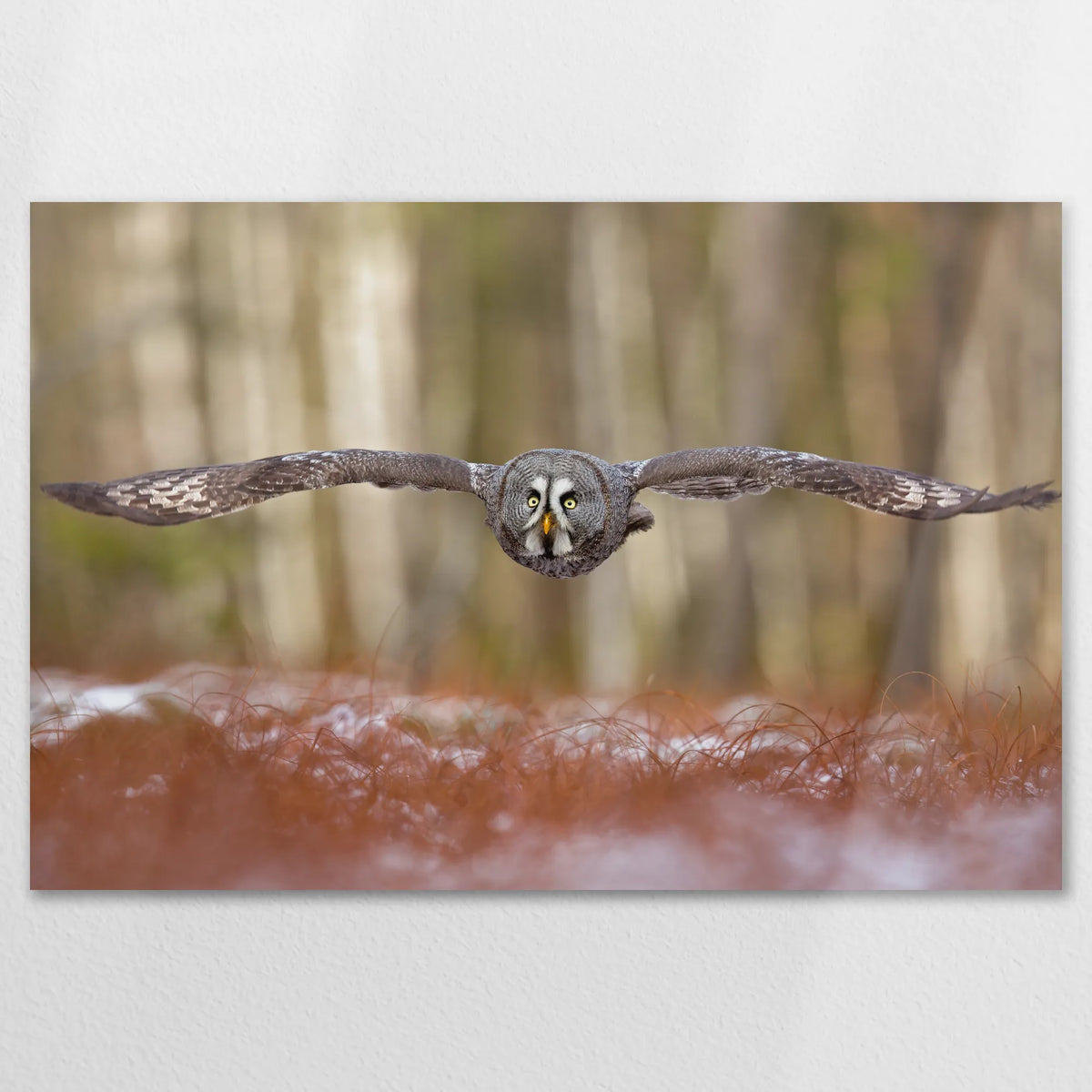 AL-120W080