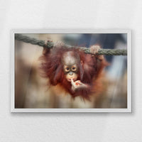 PW-060W040