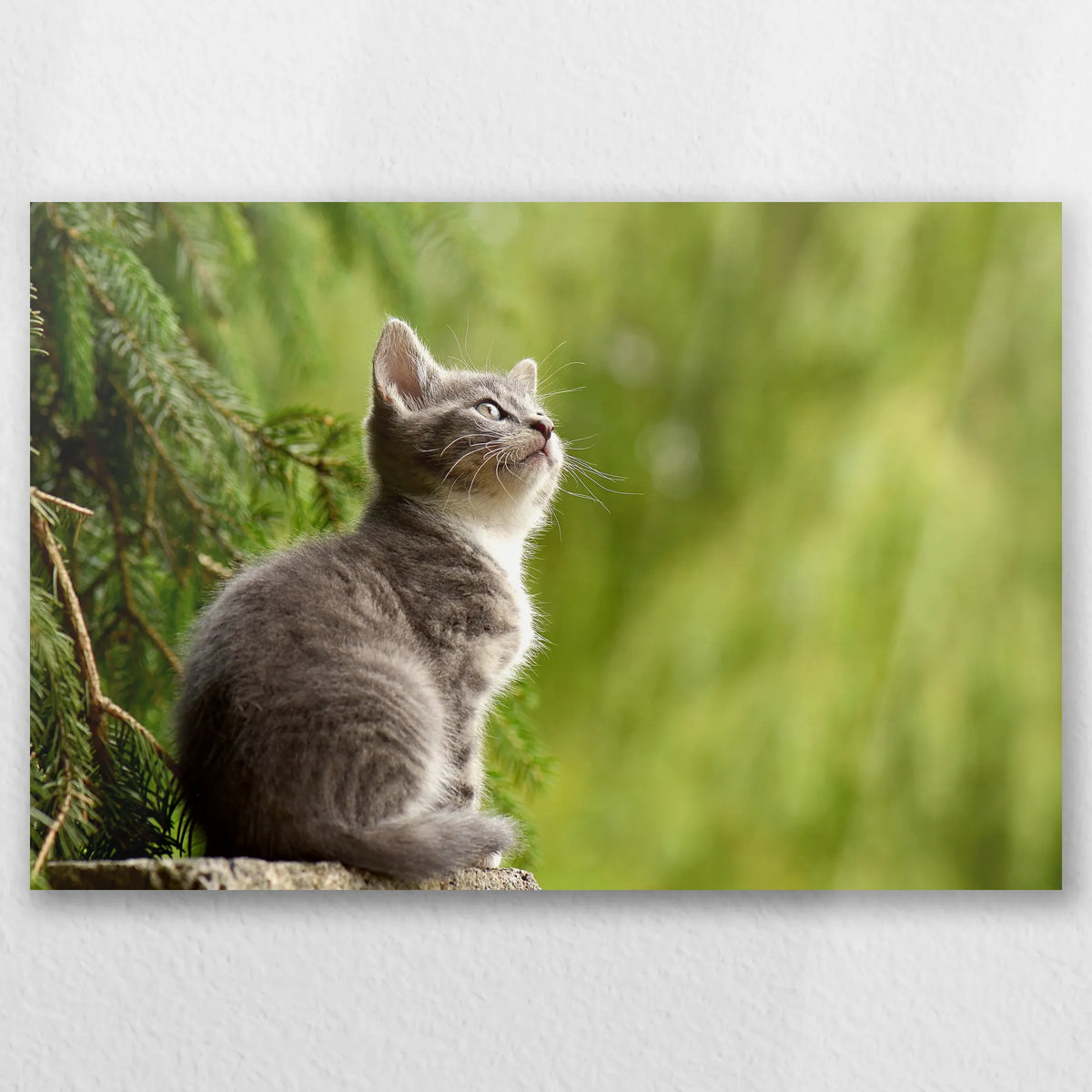 AL-030W020