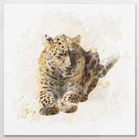 AL-080W080