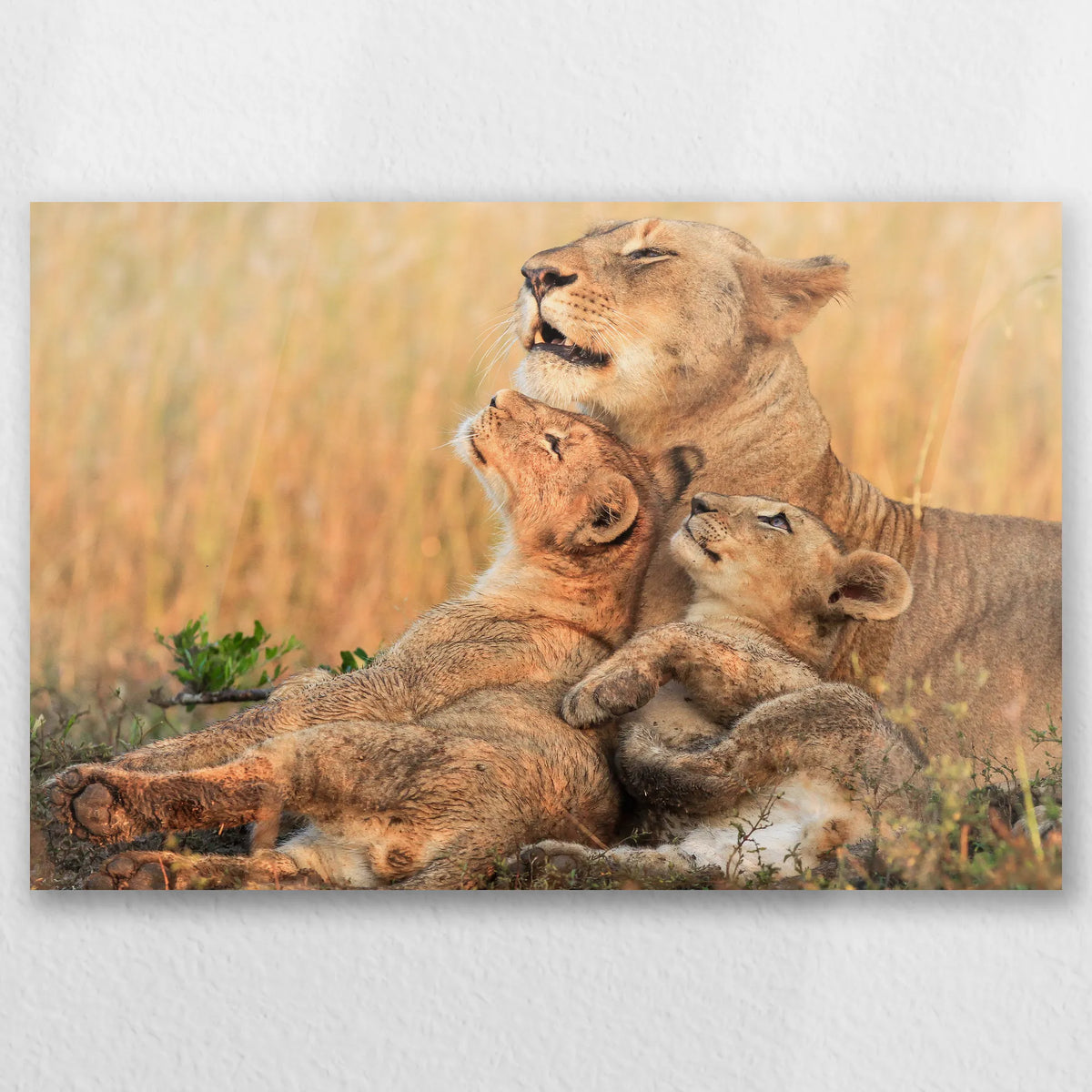 AC-045W030