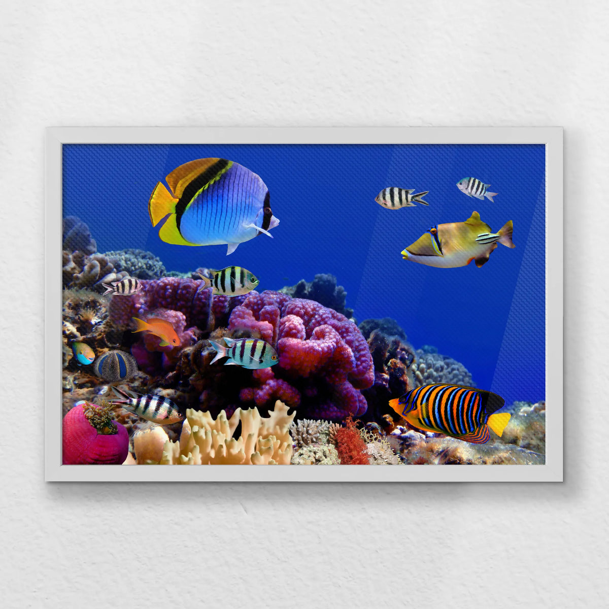 LWW060W040