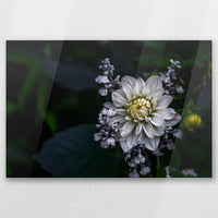 AC-030W020