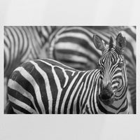 PO-090W060