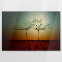 AC-075W050