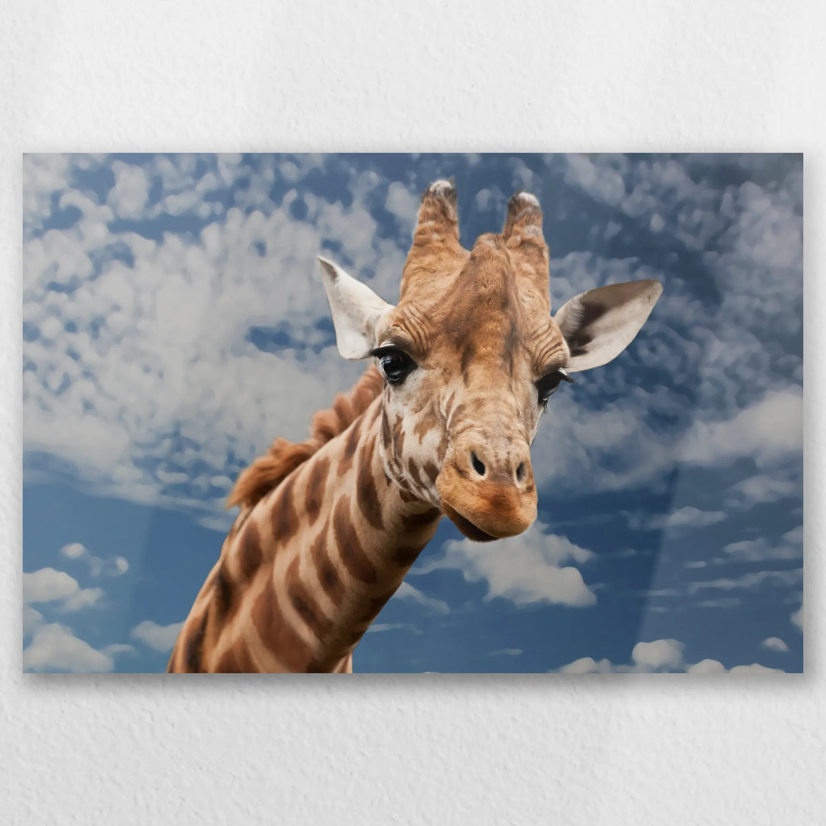 AL-045W030