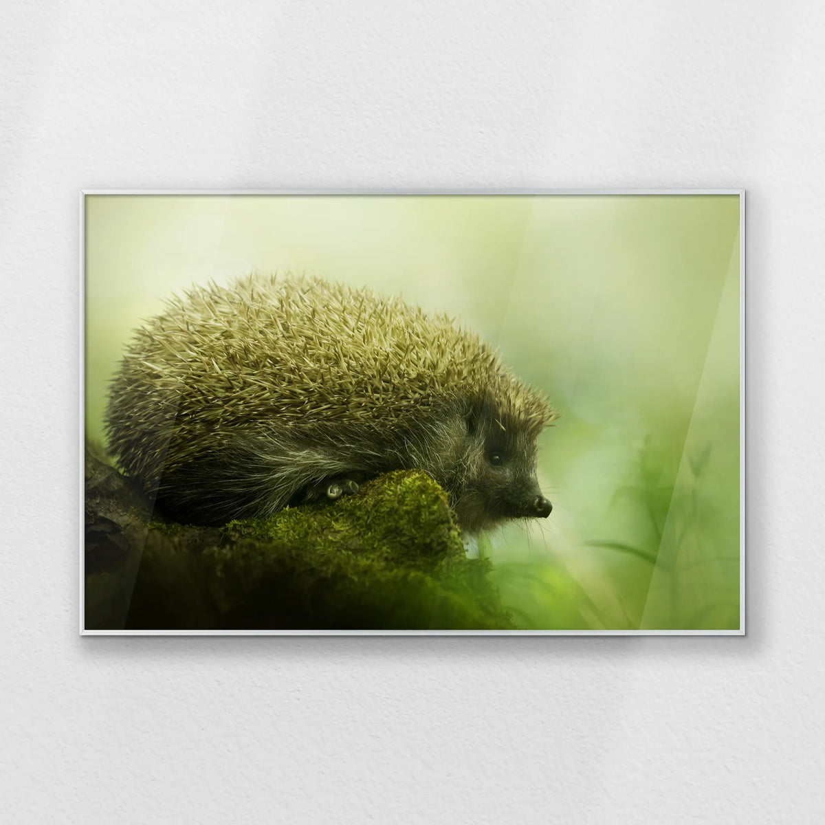 PS-100W070