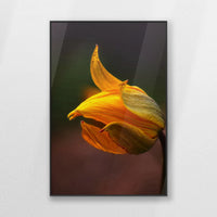 PB-070W100
