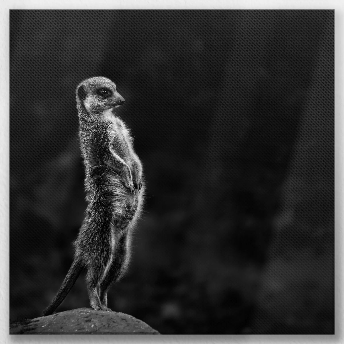 LW-040W040