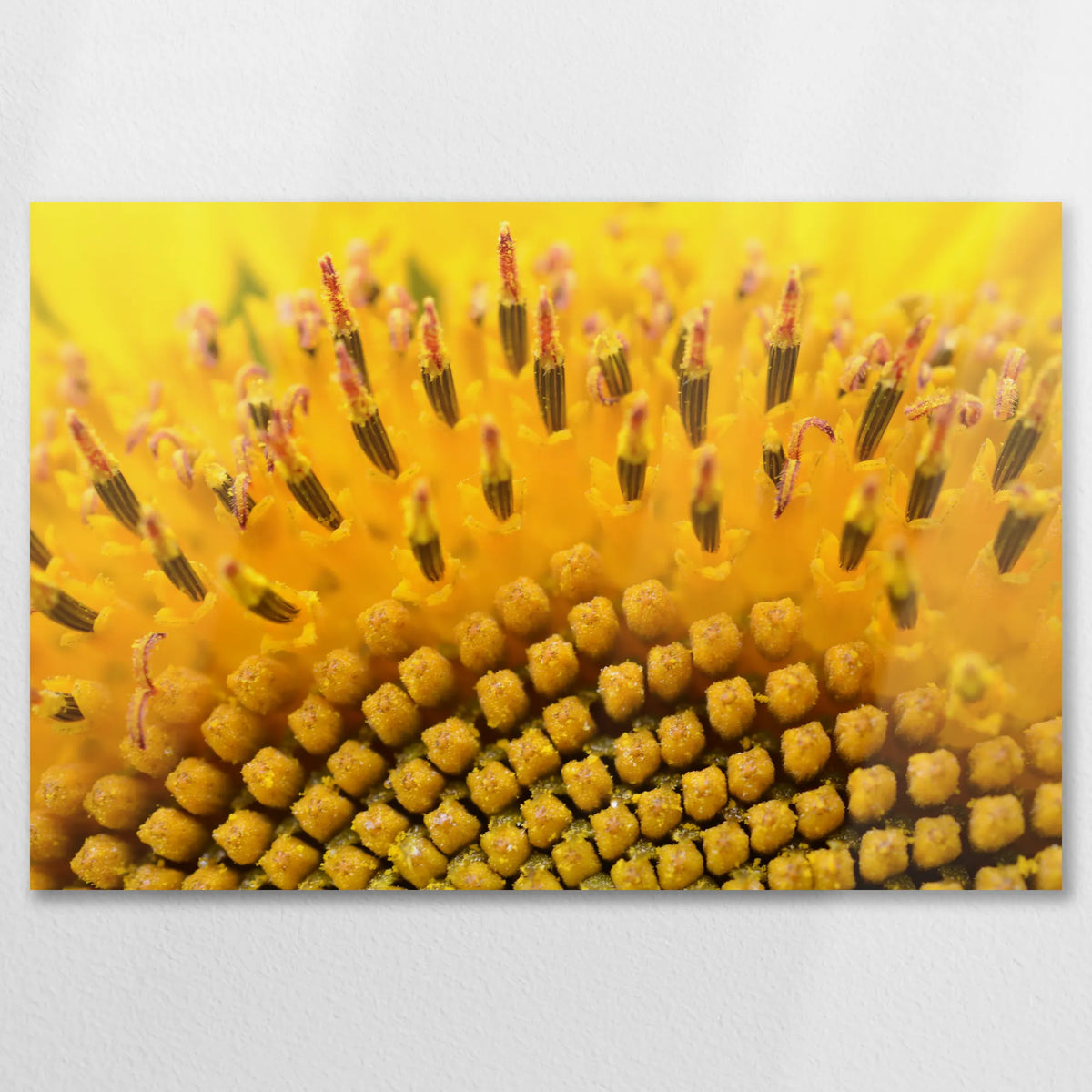 AL-075W050