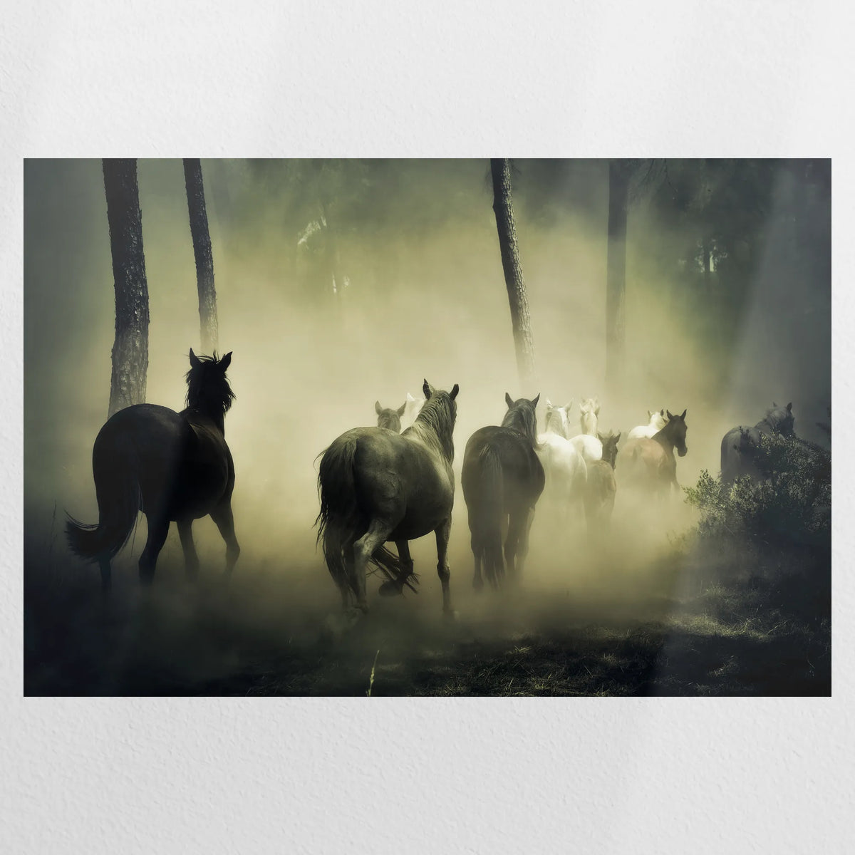 PO-090W060