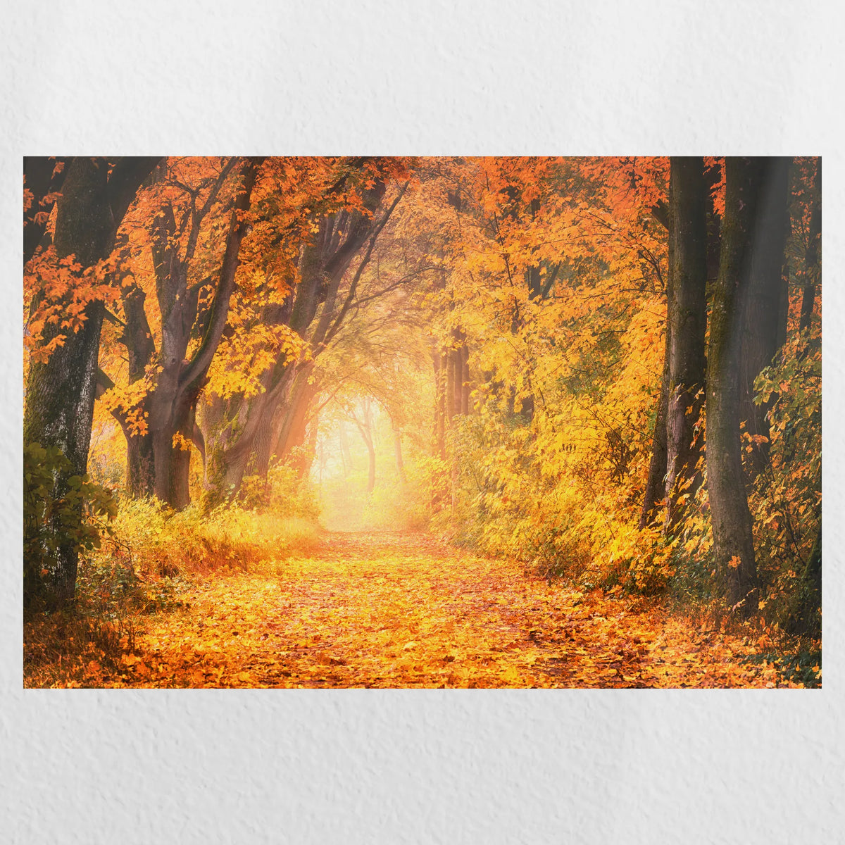 PO-060W040