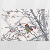 PO-045W030