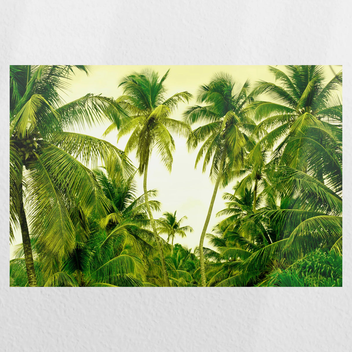 PO-030W020