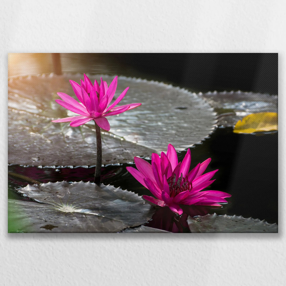 LW-075W050