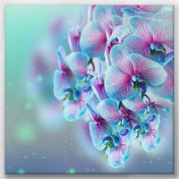 LW-060W060